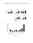 CONJUGATES OF GM-CSF AND IL-7, COMPOSITIONS AND METHODS RELATED THERETO diagram and image