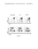 CONJUGATES OF GM-CSF AND IL-7, COMPOSITIONS AND METHODS RELATED THERETO diagram and image