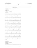 CONJUGATES OF GM-CSF AND IL-7, COMPOSITIONS AND METHODS RELATED THERETO diagram and image