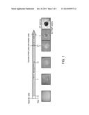 METHOD AND COMPOSITION FOR INDUCING HUMAN PLURIPOTENT STEM CELLS diagram and image