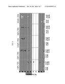 COMBINATION THERAPY FOR A STABLE AND LONG TERM ENGRAFTMENT USING SPECIFIC     PROTOCOLS FOR T/B CELL DEPLETION diagram and image