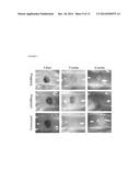 BIOMATERIALS COMPRISING HYALURONIC ACID BINDING PEPTIDES AND BIFUNCTIONAL     BIOPOLYMER MOLECULES FOR HYALURONIC ACID RETENTION AND TISSUE ENGINEERING     APPLICATIONS diagram and image