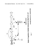 Novel Toxin-Antitoxin System diagram and image