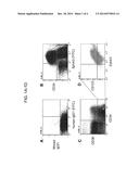 TREATMENT OF LEUKEMIAS AND CHRONIC MYELOPROLIFERATIVE DISEASES WITH     ANTIBODIES TO EPHA3 diagram and image