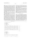 USE OF IL-20 ANTAGONISTS FOR ALLEVIATING SPINAL CORD INJURY diagram and image