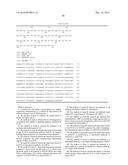 USE OF IL-20 ANTAGONISTS FOR ALLEVIATING SPINAL CORD INJURY diagram and image