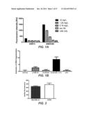 BISPECIFIC ANTIBODIES SPECIFIC FOR FAP AND DR5, ANTIBODIES SPECIFIC FOR     DR5 AND METHODS OF USE diagram and image