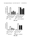 BISPECIFIC ANTIBODIES SPECIFIC FOR FAP AND DR5, ANTIBODIES SPECIFIC FOR     DR5 AND METHODS OF USE diagram and image