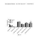 BISPECIFIC ANTIBODIES SPECIFIC FOR FAP AND DR5, ANTIBODIES SPECIFIC FOR     DR5 AND METHODS OF USE diagram and image