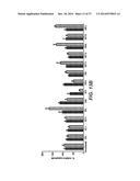 BISPECIFIC ANTIBODIES SPECIFIC FOR FAP AND DR5, ANTIBODIES SPECIFIC FOR     DR5 AND METHODS OF USE diagram and image