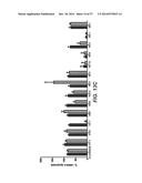 BISPECIFIC ANTIBODIES SPECIFIC FOR FAP AND DR5, ANTIBODIES SPECIFIC FOR     DR5 AND METHODS OF USE diagram and image