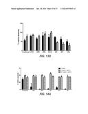 BISPECIFIC ANTIBODIES SPECIFIC FOR FAP AND DR5, ANTIBODIES SPECIFIC FOR     DR5 AND METHODS OF USE diagram and image