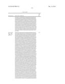 BISPECIFIC ANTIBODIES SPECIFIC FOR FAP AND DR5, ANTIBODIES SPECIFIC FOR     DR5 AND METHODS OF USE diagram and image