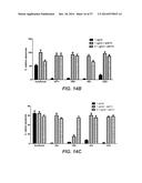 BISPECIFIC ANTIBODIES SPECIFIC FOR FAP AND DR5, ANTIBODIES SPECIFIC FOR     DR5 AND METHODS OF USE diagram and image