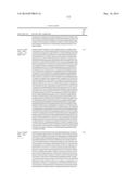 BISPECIFIC ANTIBODIES SPECIFIC FOR FAP AND DR5, ANTIBODIES SPECIFIC FOR     DR5 AND METHODS OF USE diagram and image