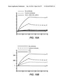 BISPECIFIC ANTIBODIES SPECIFIC FOR FAP AND DR5, ANTIBODIES SPECIFIC FOR     DR5 AND METHODS OF USE diagram and image