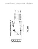 BISPECIFIC ANTIBODIES SPECIFIC FOR FAP AND DR5, ANTIBODIES SPECIFIC FOR     DR5 AND METHODS OF USE diagram and image