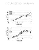 BISPECIFIC ANTIBODIES SPECIFIC FOR FAP AND DR5, ANTIBODIES SPECIFIC FOR     DR5 AND METHODS OF USE diagram and image