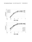 BISPECIFIC ANTIBODIES SPECIFIC FOR FAP AND DR5, ANTIBODIES SPECIFIC FOR     DR5 AND METHODS OF USE diagram and image