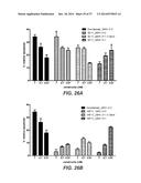 BISPECIFIC ANTIBODIES SPECIFIC FOR FAP AND DR5, ANTIBODIES SPECIFIC FOR     DR5 AND METHODS OF USE diagram and image