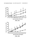 BISPECIFIC ANTIBODIES SPECIFIC FOR FAP AND DR5, ANTIBODIES SPECIFIC FOR     DR5 AND METHODS OF USE diagram and image