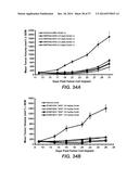 BISPECIFIC ANTIBODIES SPECIFIC FOR FAP AND DR5, ANTIBODIES SPECIFIC FOR     DR5 AND METHODS OF USE diagram and image