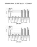 BISPECIFIC ANTIBODIES SPECIFIC FOR FAP AND DR5, ANTIBODIES SPECIFIC FOR     DR5 AND METHODS OF USE diagram and image