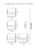 BISPECIFIC ANTIBODIES SPECIFIC FOR FAP AND DR5, ANTIBODIES SPECIFIC FOR     DR5 AND METHODS OF USE diagram and image