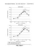 BISPECIFIC ANTIBODIES SPECIFIC FOR FAP AND DR5, ANTIBODIES SPECIFIC FOR     DR5 AND METHODS OF USE diagram and image