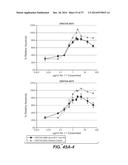 BISPECIFIC ANTIBODIES SPECIFIC FOR FAP AND DR5, ANTIBODIES SPECIFIC FOR     DR5 AND METHODS OF USE diagram and image