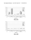 BISPECIFIC ANTIBODIES SPECIFIC FOR FAP AND DR5, ANTIBODIES SPECIFIC FOR     DR5 AND METHODS OF USE diagram and image