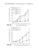 BISPECIFIC ANTIBODIES SPECIFIC FOR FAP AND DR5, ANTIBODIES SPECIFIC FOR     DR5 AND METHODS OF USE diagram and image