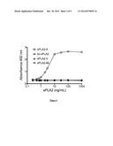 ANTIBODIES ANTI-SPLA2-X AND USES THEREOF diagram and image