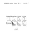 ARTIFICIAL ANTIGEN PRESENTING CELLS HAVING A DEFINED AND DYNAMIC SHAPE diagram and image