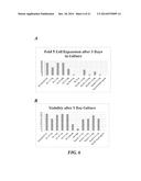 ARTIFICIAL ANTIGEN PRESENTING CELLS HAVING A DEFINED AND DYNAMIC SHAPE diagram and image