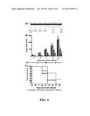 ARTIFICIAL ANTIGEN PRESENTING CELLS HAVING A DEFINED AND DYNAMIC SHAPE diagram and image