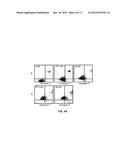 MATERIALS AND METHOD FOR INHIBITING REPLICATION PROTEIN A AND USES THEREOF diagram and image