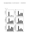 PHARMACEUTICAL COMPOSITION FOR PREVENTING OR TREATING INFLAMMATORY     DISEASES OR ASTHMA, CONTAINING LAGERSTROEMIA OVALIFOLIA EXTRACT OR     FRACTION THEREOF AS ACTIVE INGREDIENT diagram and image