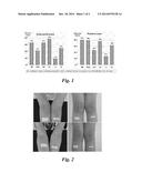 COMPOSITION FOR TREATING ATOPIC DERMATITIS COMPRISING EXTRACTS OF BAMBOO     AND SCUTELLARIA diagram and image