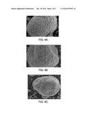 SECONDARY BATTERY AND ELECTRODE FOR SECONDARY BATTERY diagram and image