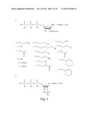 COMPOSITIONS AND METHODS FOR NUCLEOTIDE SEQUENCING diagram and image