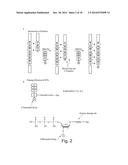 COMPOSITIONS AND METHODS FOR NUCLEOTIDE SEQUENCING diagram and image