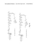 COMPOSITIONS AND METHODS FOR NUCLEOTIDE SEQUENCING diagram and image