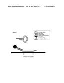 ASYMMETRIC HAIRPIN TARGET CAPTURE OLIGOMERS diagram and image