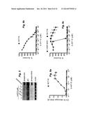 Proteasome Deubiquinating Inhibitor Screening diagram and image