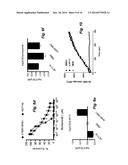 Proteasome Deubiquinating Inhibitor Screening diagram and image