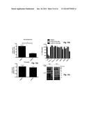 Proteasome Deubiquinating Inhibitor Screening diagram and image