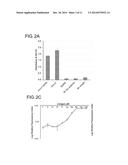 QUANTITATIVE MULTIPLEX DETECTION OF PATHOGEN BIOMARKERS diagram and image