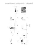 BIOCOMPATIBLE METHOD OF FUNCTIONALISING SUBSTRATES WITH INERT SURFACES diagram and image