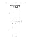 BIOCOMPATIBLE METHOD OF FUNCTIONALISING SUBSTRATES WITH INERT SURFACES diagram and image